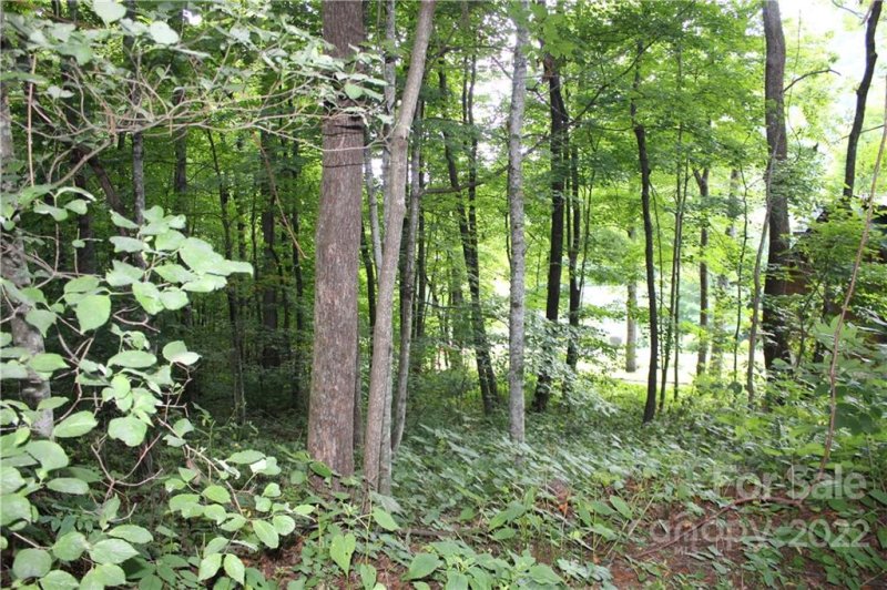 Property image 2 at 00 Serenity Cove, Maggie Valley, NC 28751