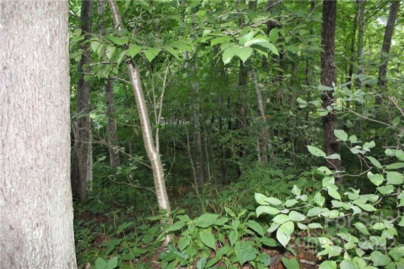 Property image 5 at 00 Serenity Cove, Maggie Valley, NC 28751