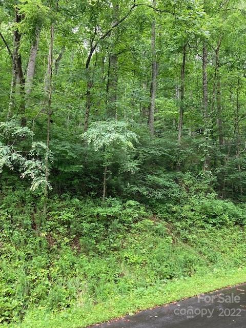 Property image 2 at 00 Rising Sun Road, Mars Hill, NC 28754