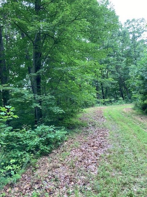 Property image 5 at 00 Rising Sun Road, Mars Hill, NC 28754