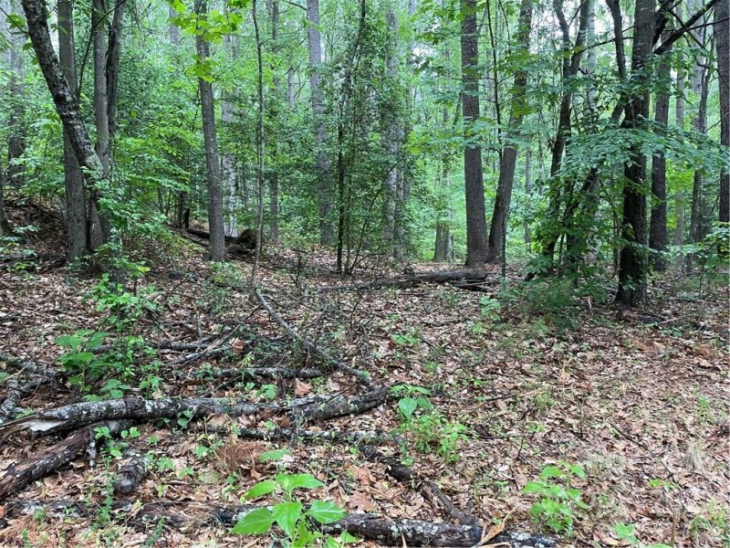 Property image 2 at 409 Hopewell Church Road, Catawba, NC 28609