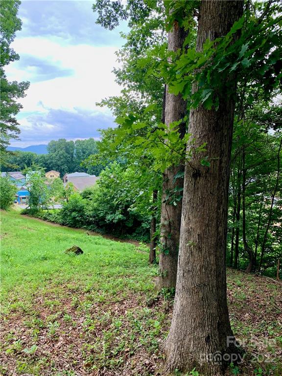 Property image 5 at 99999 Acadia Drive, Asheville, NC 28806