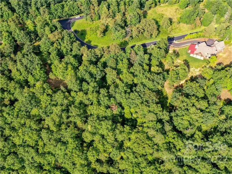 Property image 2 at 48 Stonefly Drive, Horse Shoe, NC 28742