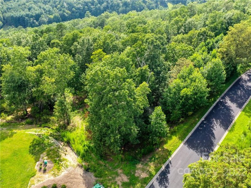 Property image 3 at 48 Stonefly Drive, Horse Shoe, NC 28742