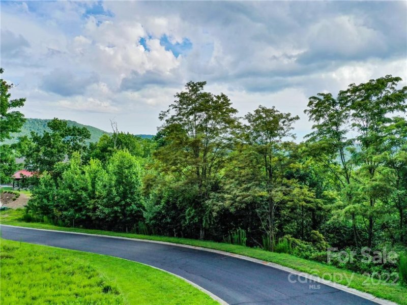 Property image 4 at 48 Stonefly Drive, Horse Shoe, NC 28742