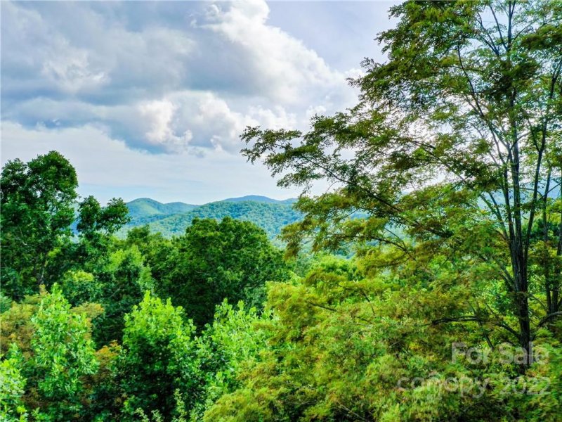 Property image 5 at 48 Stonefly Drive, Horse Shoe, NC 28742