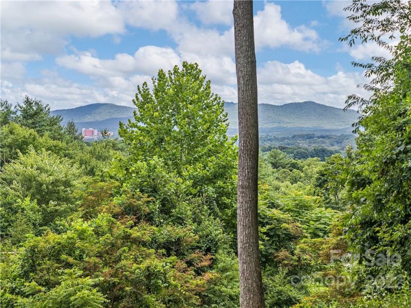 Property image 4 at 48 Kenai Drive, Asheville, NC 28806