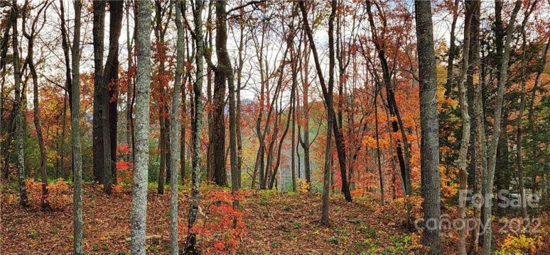 Property image 3 at 209 Fall Leaves Drive, Fairview, NC 28730