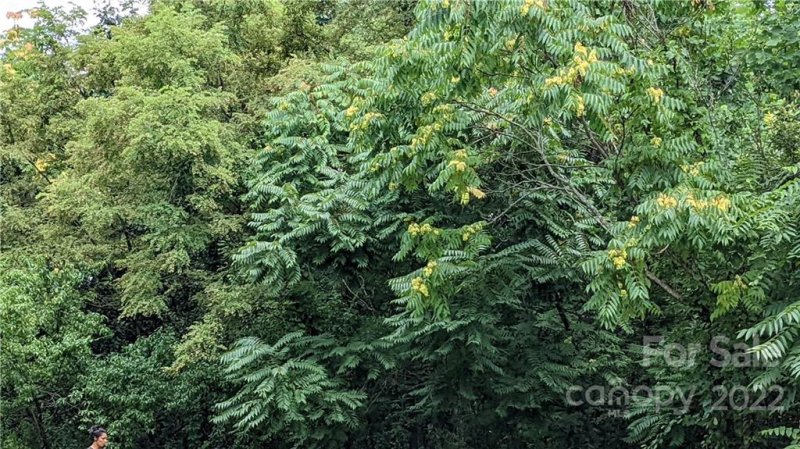 Property image 5 at Lot 20 Mountain Crest Drive, Marion, NC 28752