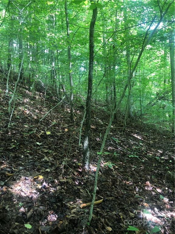 Property image 2 at 000 Nc Hwy 197 Highway, Burnsville, NC 28714