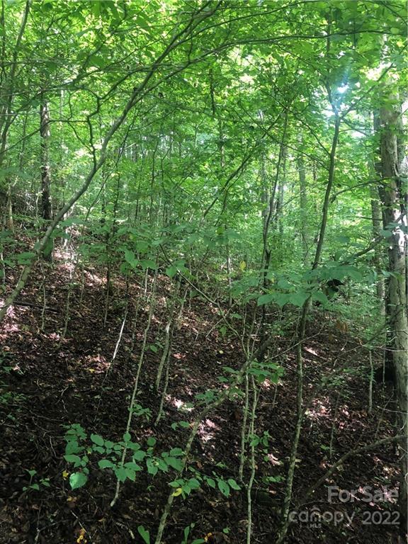 Property image 3 at 000 Nc Hwy 197 Highway, Burnsville, NC 28714