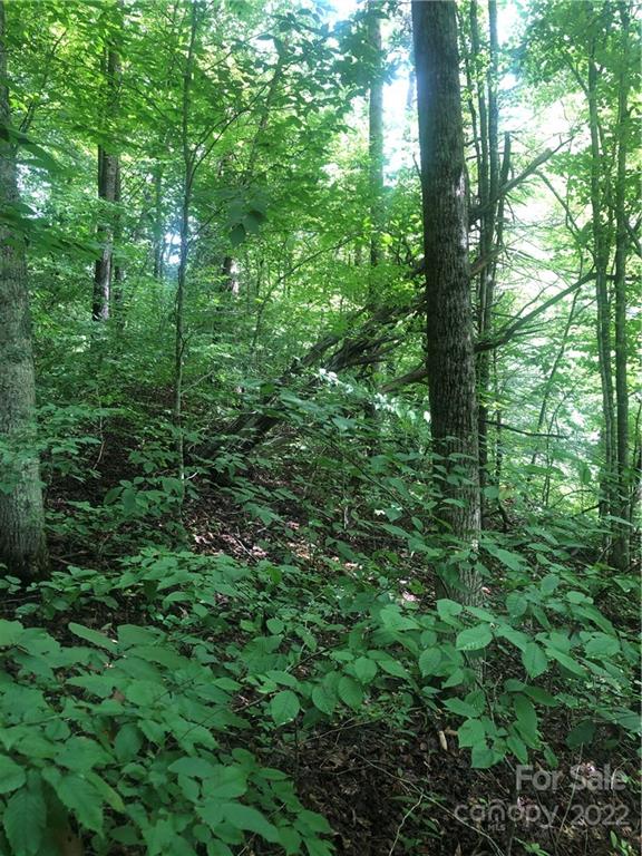 Property image 4 at 000 Nc Hwy 197 Highway, Burnsville, NC 28714