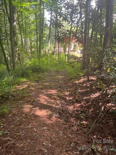 Property image 5 at 52 Trail Top Drive, Asheville, NC 28805