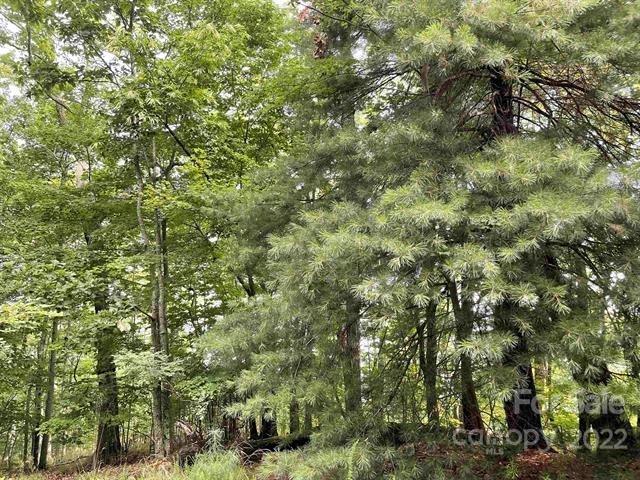 Property image 3 at Lots 98 99 Sky Ridge Drive, Bostic, NC 28018