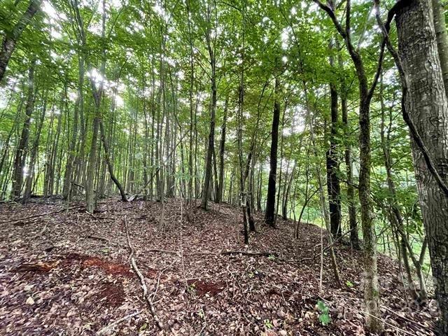 Property image 5 at Lots 98 99 Sky Ridge Drive, Bostic, NC 28018