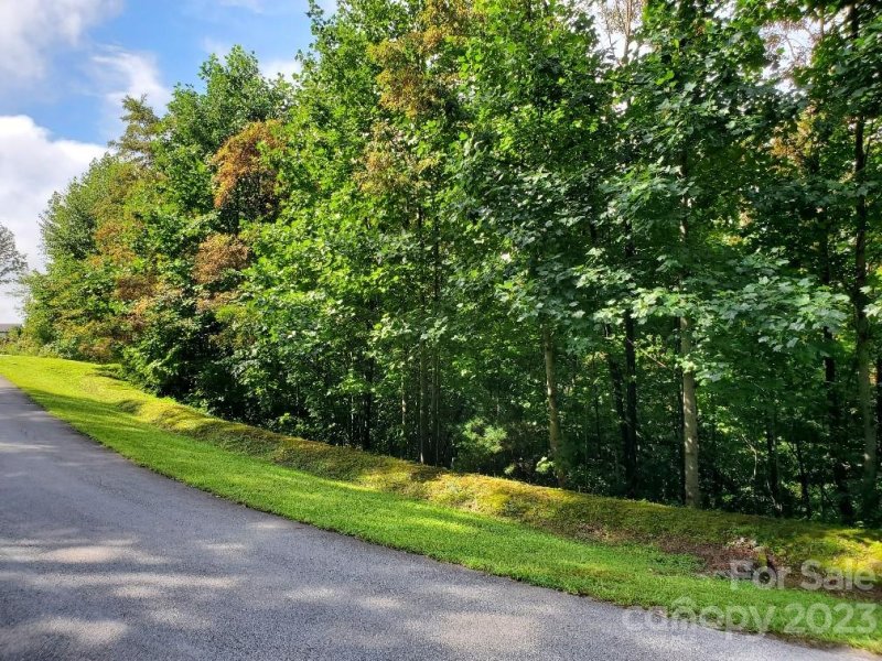 Property image 2 of Lot 37 Mountain Morning Lane in Cummings Cove, Hendersonville, NC 28739