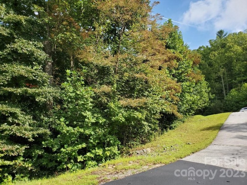 Property image 3 of Lot 37 Mountain Morning Lane in Cummings Cove, Hendersonville, NC 28739