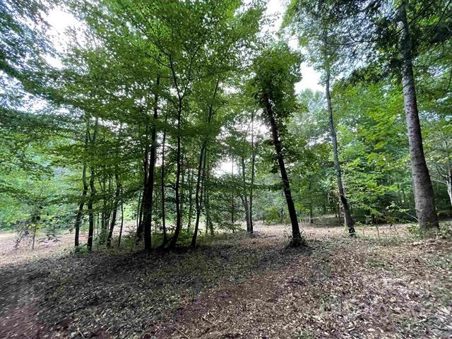 Property image 5 at Lot 9 Crossings Road, Marion, NC 28752