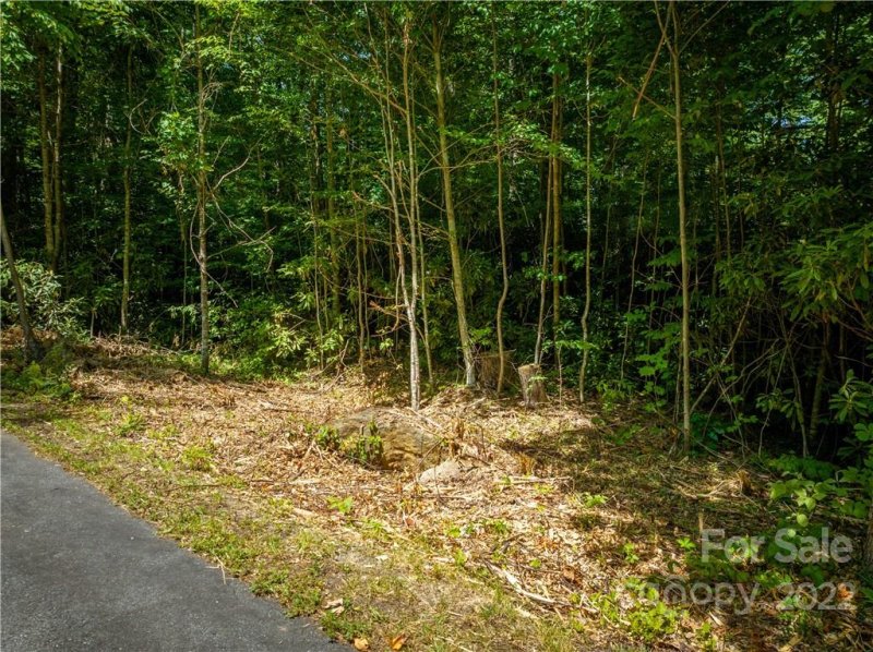 Property image 5 at Lot 53 Twinbrook Lane, Maggie Valley, NC 28751