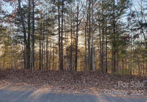 Property image 2 at 00000 Hawks Nest Trail, Lake Lure, NC 28746