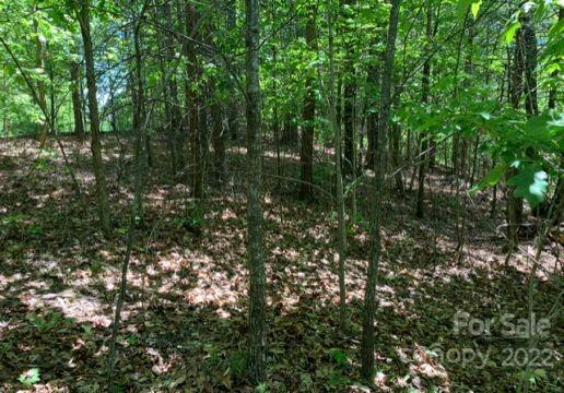 Property image 3 at 00000 Hawks Nest Trail, Lake Lure, NC 28746