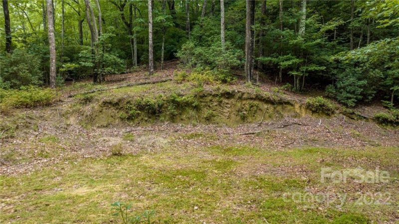 Property image 5 at 251 Willow Lane, Rosman, NC 28772