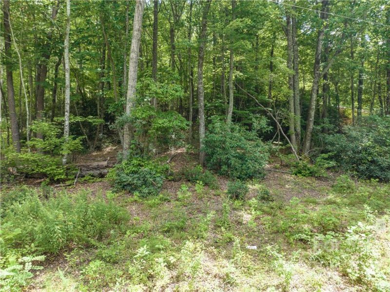 Property image 5 at 1203 Golf Course Road, Old Fort, NC 28762