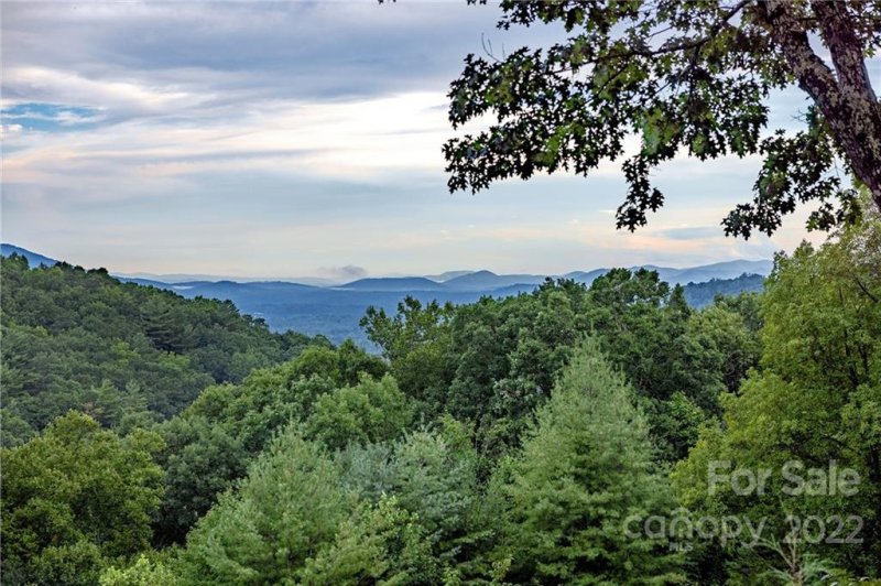 Property image 2 at 331 E Sondley Drive, Asheville, NC 28805