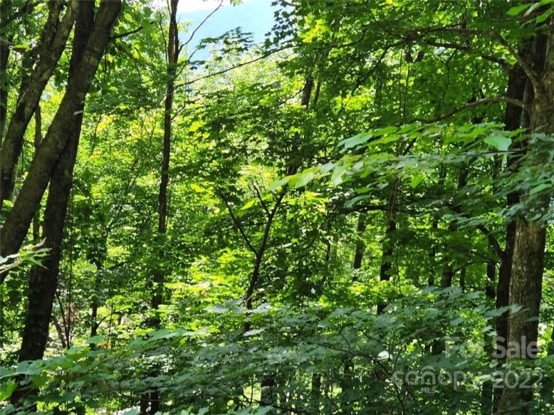 Property image 2 at 00 Davy Crockett Drive, Maggie Valley, NC 28751