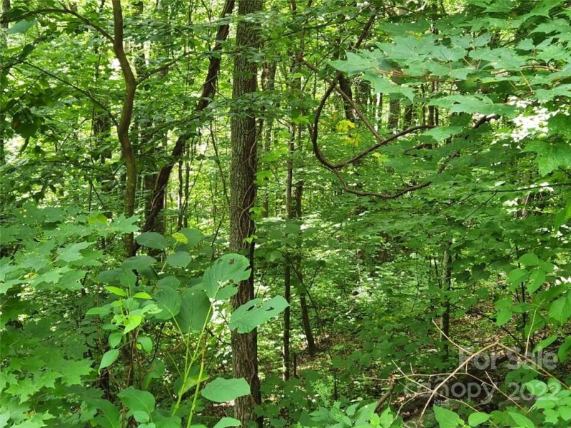 Property image 3 at 00 Davy Crockett Drive, Maggie Valley, NC 28751