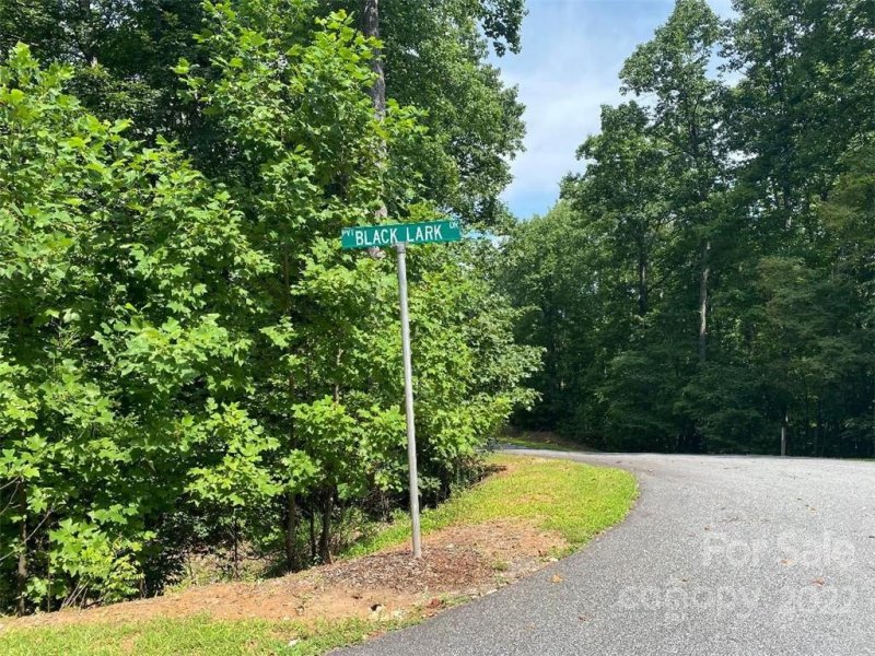 Property image 3 at Lot 174 Black Lark Drive, Marion, NC 28752