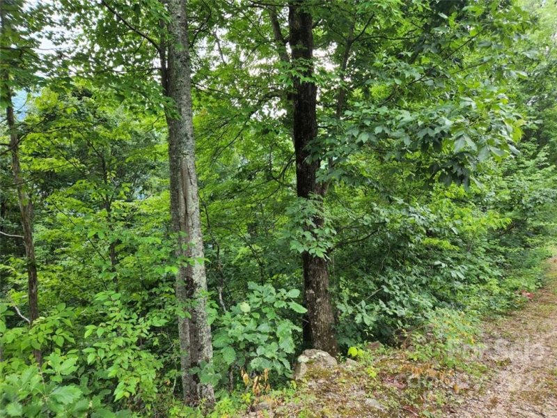 Property image 2 at 00 Splendor Heights, Maggie Valley, NC 28751