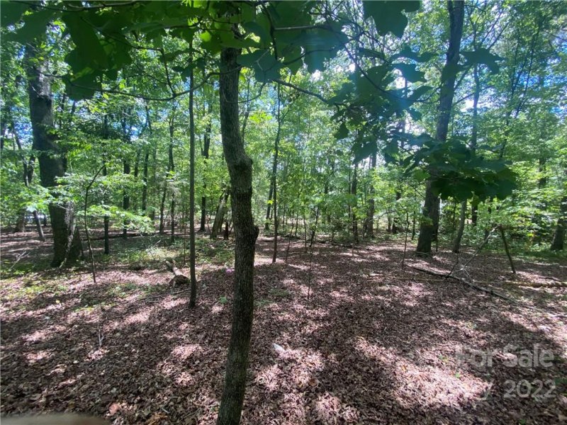 Property image 5 at 000 Oak Road, Norwood, NC 28128