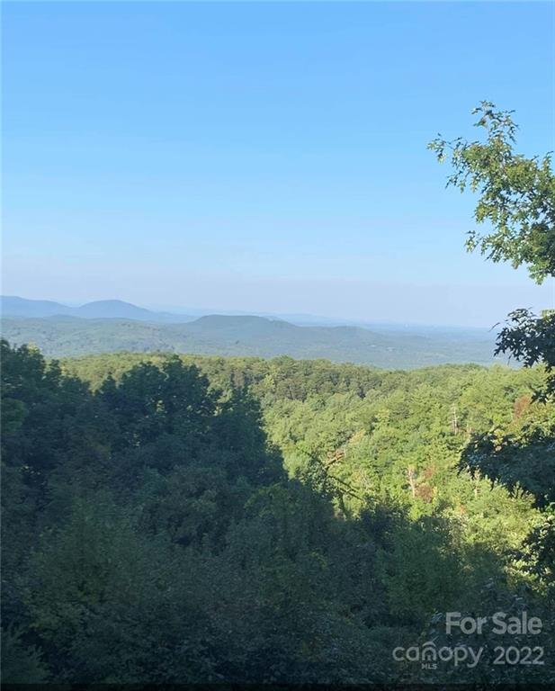 Property image 2 at 8725 Lisa Trail, Connelly Springs, NC 28612