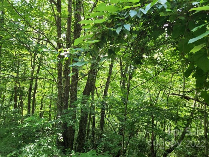 Property image 3 at 00 Davy Crockett Drive, Maggie Valley, NC 28751