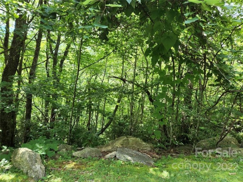 Property image 4 at 00 Davy Crockett Drive, Maggie Valley, NC 28751