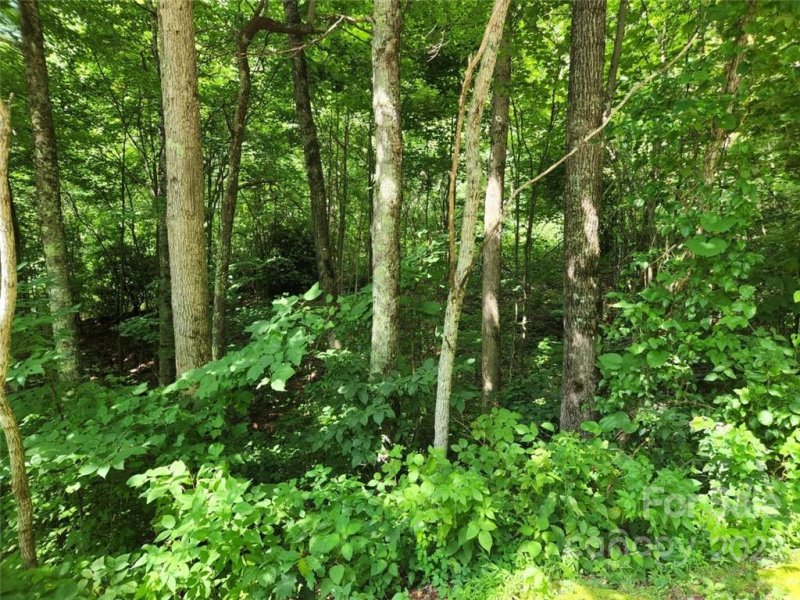 Property image 2 at 00 Davy Crockett Drive, Maggie Valley, NC 28751