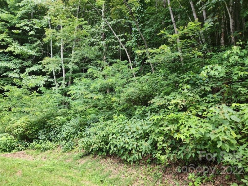 Property image 3 at 00 Heavenview Point, Maggie Valley, NC 28751