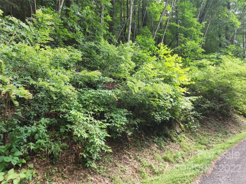 Property image 2 at 00 Davy Crockett Drive, Maggie Valley, NC 28751