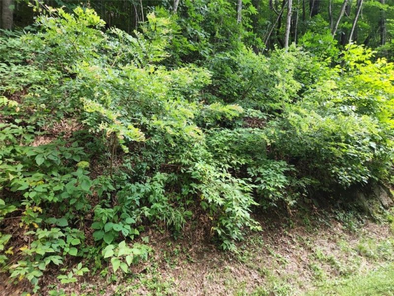 Property image 3 at 00 Davy Crockett Drive, Maggie Valley, NC 28751