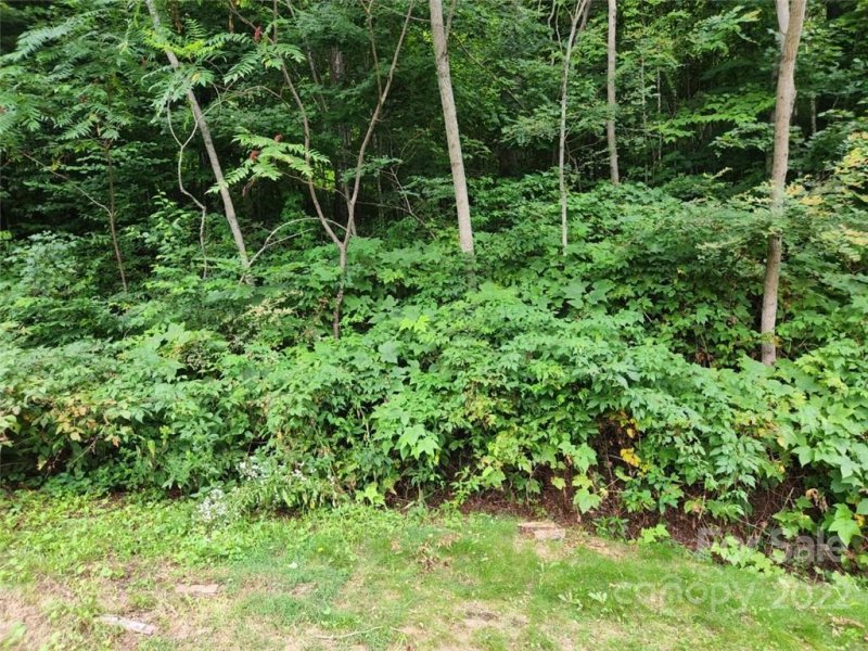 Property image 2 at 00 Elevation Place, Maggie Valley, NC 28751