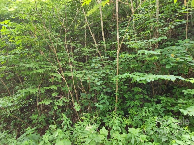 Property image 3 at 00 Elevation Place, Maggie Valley, NC 28751