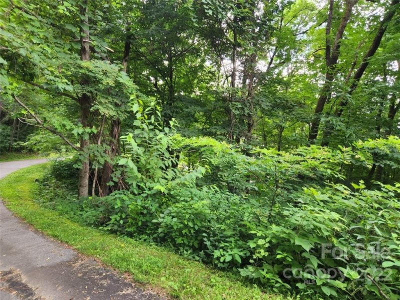 Property image 2 at 00 Davy Crockett Drive, Maggie Valley, NC 28751