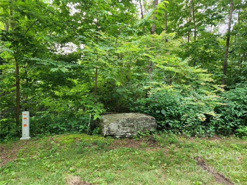 Property image 3 at 00 Davy Crockett Drive, Maggie Valley, NC 28751