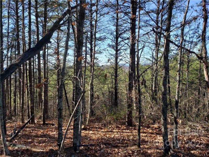 Property image 4 at 4142 Mountain Vista Drive, Morganton, NC 28655