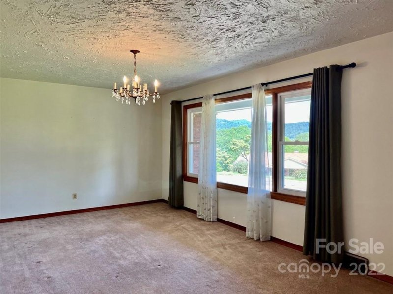 Property image 5 at 124 Leaf Lane, Clyde, NC 28721