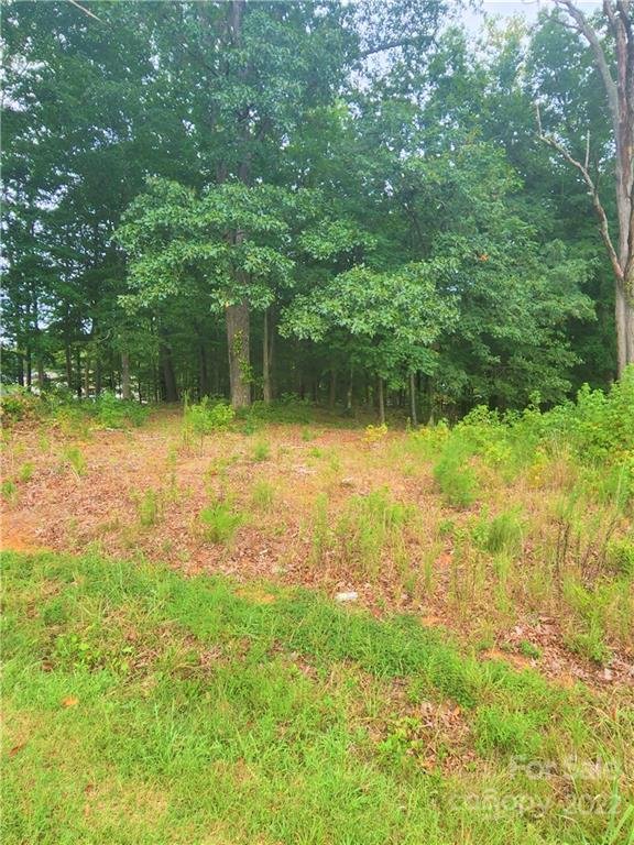 Property image 3 at Lot 10r Eagle Pointe Drive, Norwood, NC 28128
