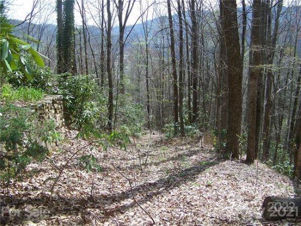 Property image 3 at 00 Harvest Drive, Maggie Valley, NC 28751