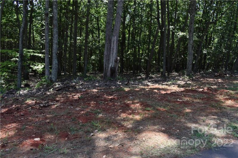 Property image 5 at 401 Spanish Oak Lane, Gastonia, NC 28056