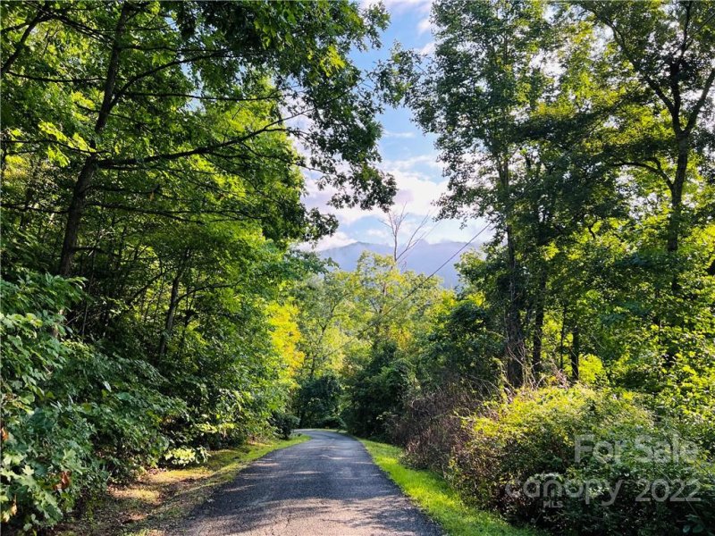 99999 Dogwood Forest Road